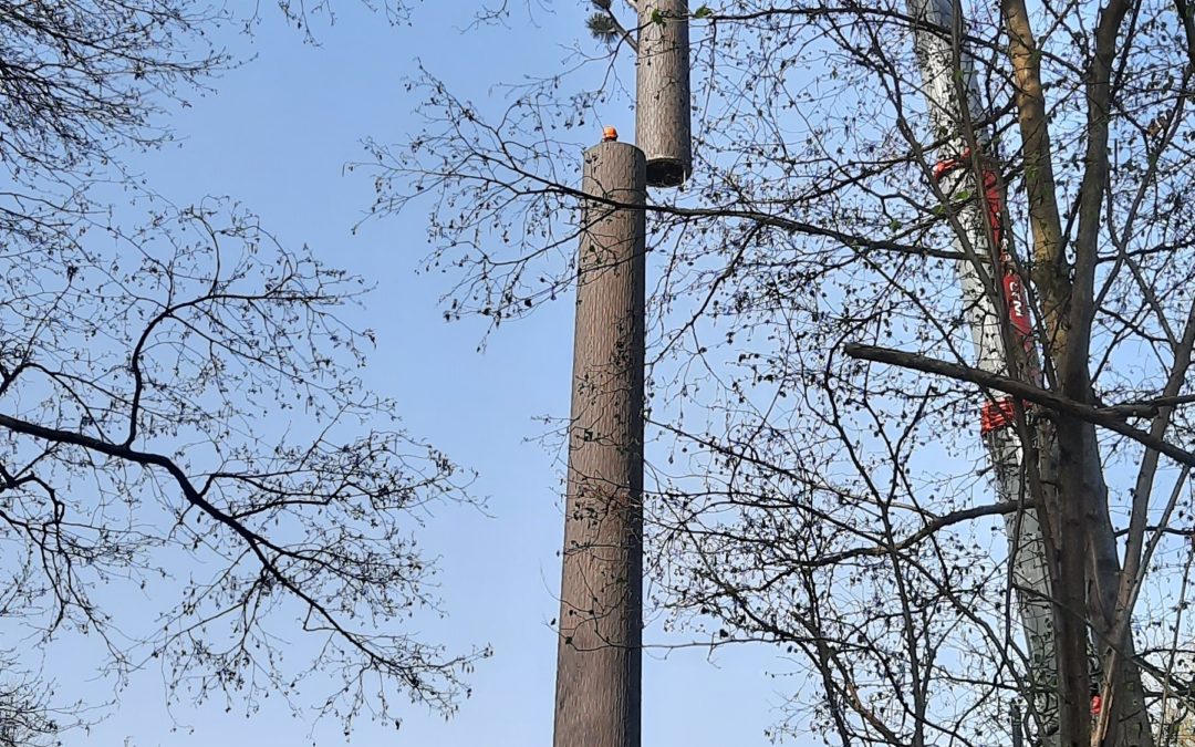 Installation de l’antenne-relais de téléphonie mobile.