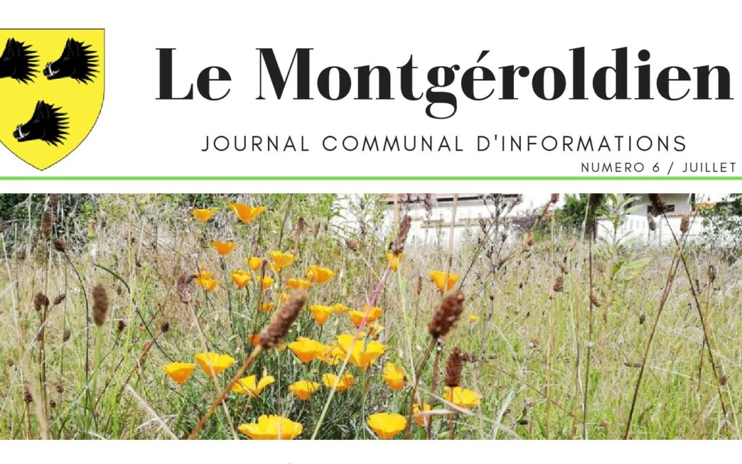 L’édition de juillet du Montgéroldien est dans vos boîtes !