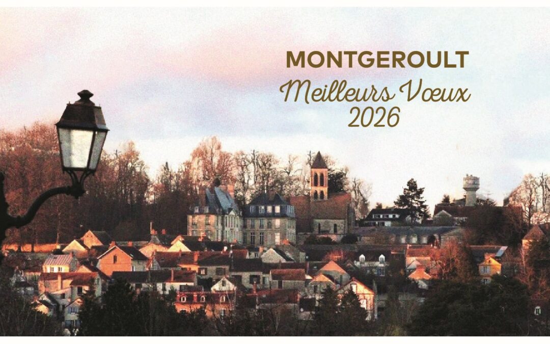 Meilleurs Vœux 2026